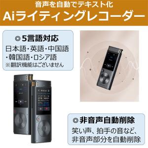 iFLYTEK VOITER SR302PRO...の詳細画像2
