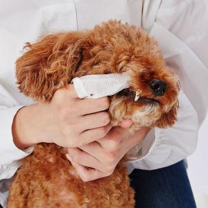 ペティオ 犬猫用 歯みがき用 シートでふきとる...の詳細画像2