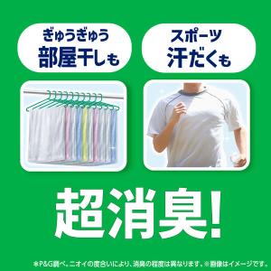 アリエール 洗濯洗剤 液体 部屋干し&スポーツ...の詳細画像3