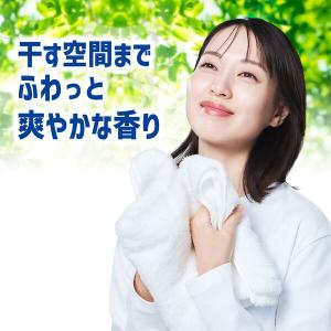 アリエール 洗濯洗剤 液体 部屋干し&スポーツ...の詳細画像5