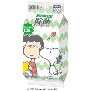 ウェットティッシュ 除菌 ノンアルコール 携帯...の詳細画像1