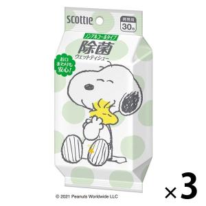ウェットティッシュ 除菌 ノンアルコール 携帯...の詳細画像2