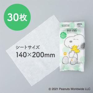 ウェットティッシュ 除菌 ノンアルコール 携帯...の詳細画像4