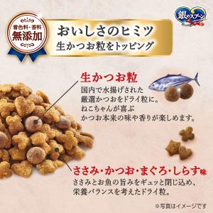 銀のスプーン 国産生かつおin ささみと海の幸...の詳細画像3