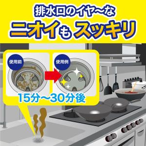 パイプユニッシュ プロ キッチン用 濃縮タイプ...の詳細画像2
