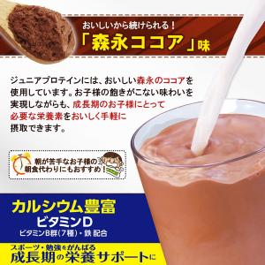 ジュニアプロテイン 牛乳でおいしいココア味 1...の詳細画像4