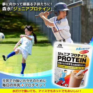 ジュニアプロテイン 牛乳でおいしいココア味 1...の詳細画像5