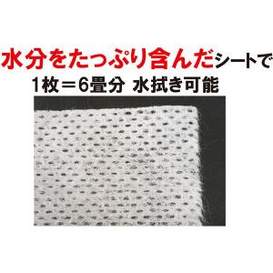 CONDOR(コンドル) フローリング用ウェッ...の詳細画像3