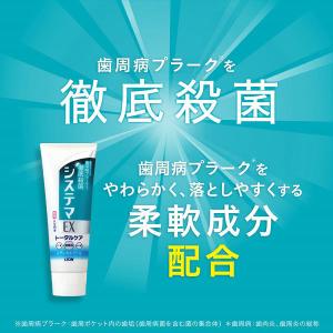 歯磨き粉 フッ素 システマEX ハミガキ メデ...の詳細画像2