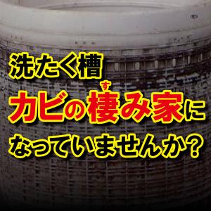 洗浄力(センジョウリキ) 洗たく槽クリーナー ...の詳細画像1