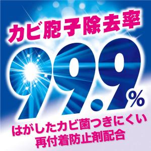 洗浄力(センジョウリキ) 洗たく槽クリーナー ...の詳細画像3