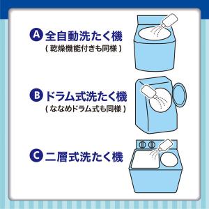 洗浄力(センジョウリキ) 洗たく槽クリーナー ...の詳細画像4
