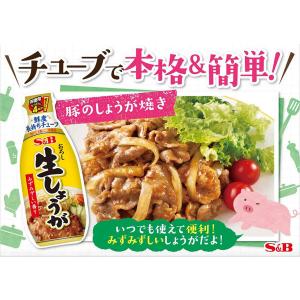 エスビー食品 S&B お徳用おろし生しょうが ...の詳細画像3