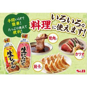 エスビー食品 S&B お徳用おろし生しょうが ...の詳細画像4