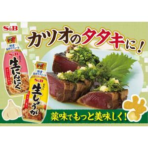 (セール)エスビー食品 S&B お徳用おろし生...の詳細画像5