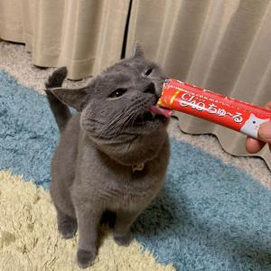 (バラエティパック)いなば CIAO チャオ ...の詳細画像1
