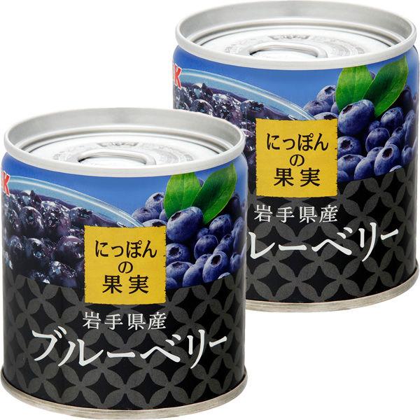 国分グループ本社 KK にっぽんの果実 岩手県産 ブルーベリー 1セット（2個）