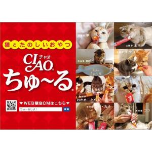 いなば CIAO チャオ ちゅーる 猫 とりさ...の詳細画像3