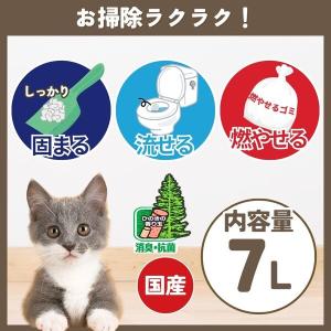 しっかり消臭するひのきの猫砂 森林からの贈りも...の詳細画像2