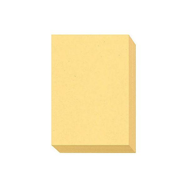 大王製紙　ダイオーマルチカラープリンタ用紙　86403　B5　1冊（500枚入）　クリーム色