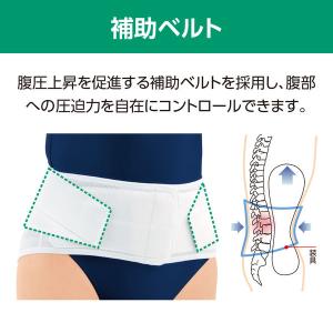 アルケア サクロライト・DX L 17853 1個の詳細画像3