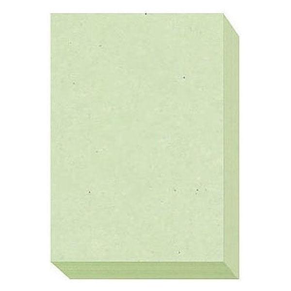 大王製紙　ダイオーマルチカラープリンタ用紙　86408　B5　1冊（500枚入）　若草色