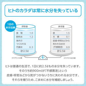 大塚製薬 ポカリスエット イオンウォーター 3...の詳細画像5