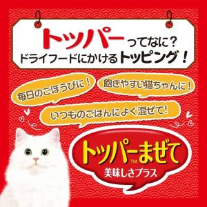 いなば CIAO チャオ ちゅーる 猫 総合栄...の詳細画像2