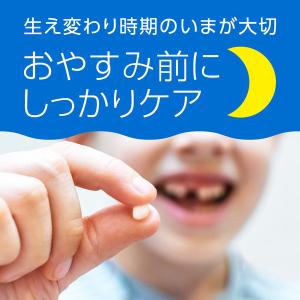 歯磨き粉 小・中学生 モンダミンJr. フッ素...の詳細画像2
