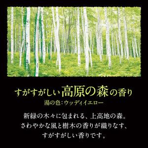 バブ 至福の森めぐり浴 1箱(12錠入) 入浴...の詳細画像2