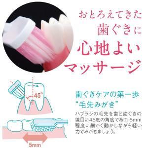 システマ ハグキプラス ハブラシ 超コンパクト...の詳細画像2