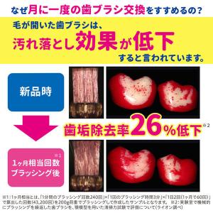 システマ ハグキプラス ハブラシ 超コンパクト...の詳細画像5