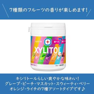 ロッテ キシリトールガム 7種アソートボトル 1個の詳細画像1