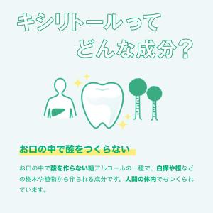 ロッテ キシリトールガム 7種アソートボトル 1個の詳細画像3