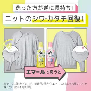 エマール アロマティックブーケの香り 本体 4...の詳細画像3