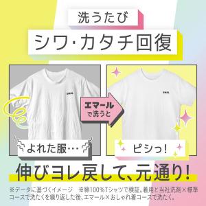 エマール アロマティックブーケの香り 本体 4...の詳細画像4