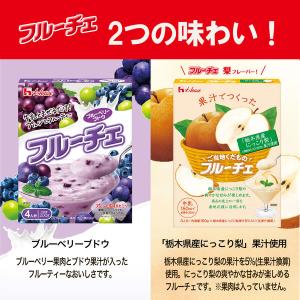 製菓材料 ご当地くだものフルーチェ 「栃木県産...の詳細画像4