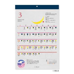 【2027年版カレンダー】新日本カレンダー 月...の詳細画像1
