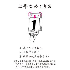 【2027年版カレンダー】新日本カレンダー 卓...の詳細画像3
