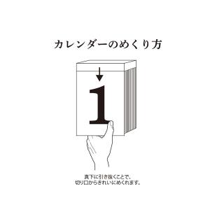 【2027年版カレンダー】東海カレンダー EC...の詳細画像5