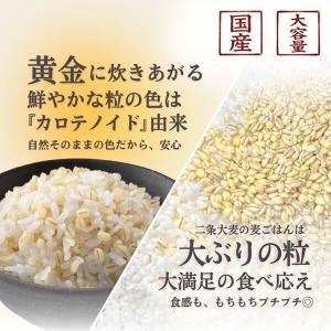 ふっくらもちもち食感国産もち麦 2kg 1個 ...の詳細画像2