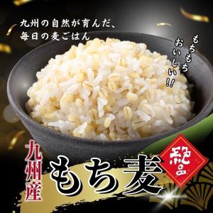 九州産もち麦スティックタイプ 50g×12袋入...の詳細画像2