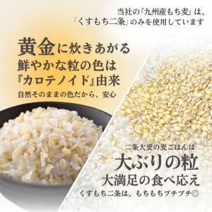 九州産もち麦スティックタイプ 50g×12袋入...の詳細画像3