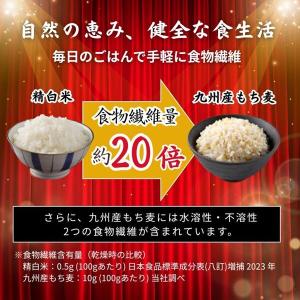 九州産もち麦スティックタイプ 50g×12袋入...の詳細画像5