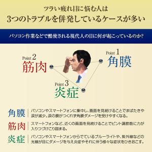 Vロートプレミアム 15ml ロート製薬 ★控...の詳細画像4