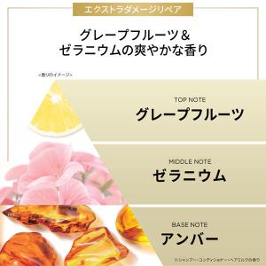 (セール)パンテーン エクストラダメージリペア...の詳細画像3