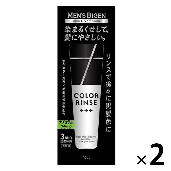 メンズビゲン カラーリンス 白髪用 トリプルプラス ナチュラルブラック 120g 2個 ホーユー