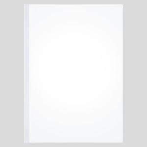 アスクル レール式クリアーホルダースリム ファイル A4タテ 約20枚とじ 白（ホワイト） PP製 1袋（10冊）  オリジナル その他プレゼンテーション用品の商品画像