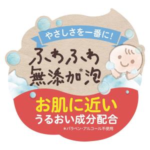 ピジョン 全身泡ソープ ベビーフラワーの香り ...の詳細画像3