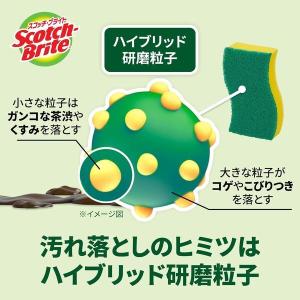 (限定)スリーエム(3M)スコッチブライト ハ...の詳細画像5